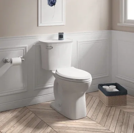 Wall mounted toilet