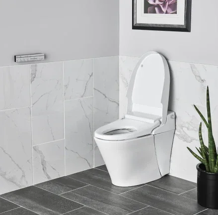 Modern toilet